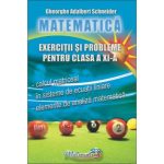 Matematica – exercitii si probleme pentru clasa a XI – a 1