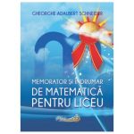Memorator si indrumar de matematica pentru liceu 1