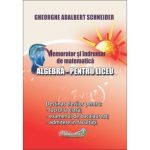 Memorator si indrumar de matematica algebra pentru liceu 1