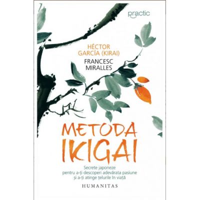 Metoda Ikigai