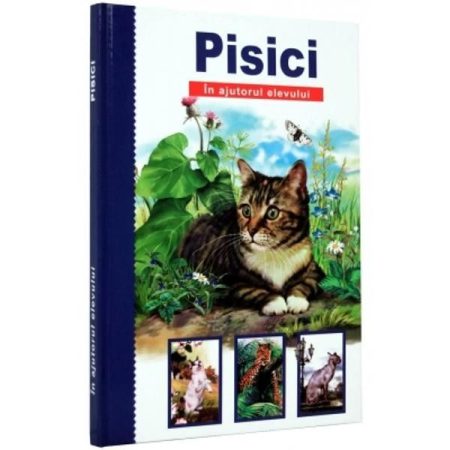 Pisici. In ajutorul elevilor