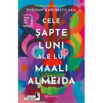 cele-sapte-luni-ale-lui-maali-al (1)